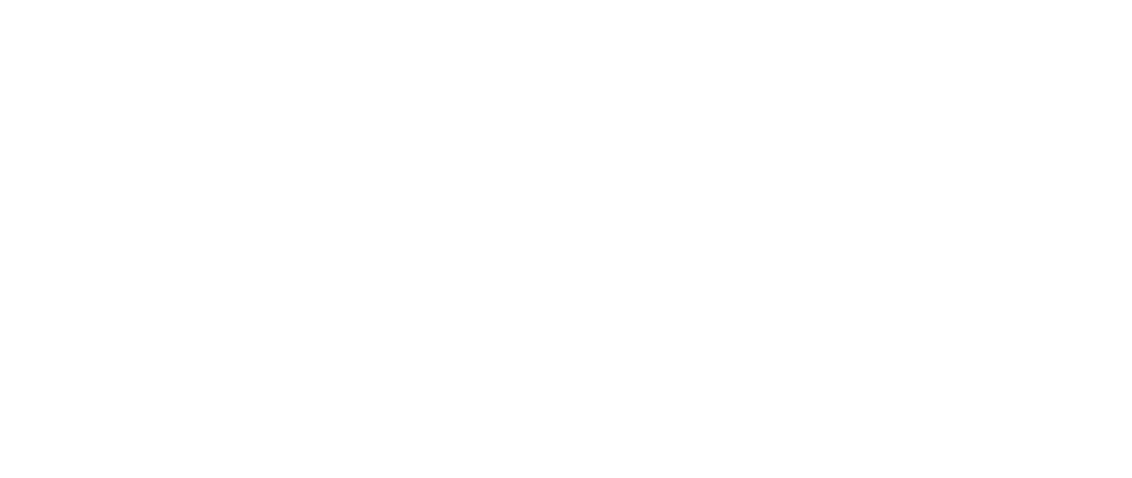 5. "Surviving and Thriving: Lost Dog Street Band